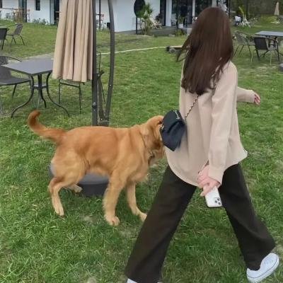 七个小矮人第二季
